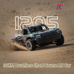 Heliway 1205 1/12 Brushless RC Car, High Speed Off-Road RC Truck